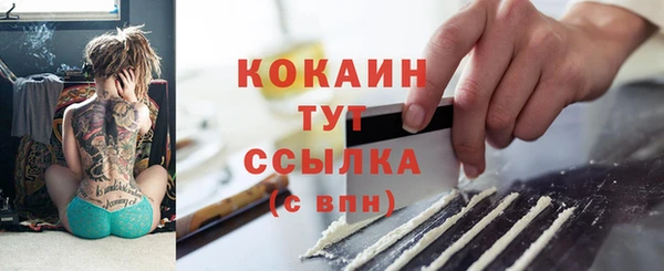 прущие грибы Дмитриев