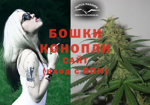 стаф Дмитров