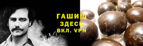 прущие грибы Дмитриев