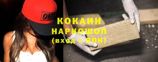 стаф Дмитров