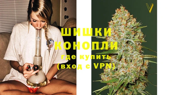 стаф Дмитров