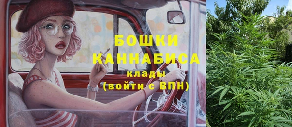 прущие грибы Дмитриев
