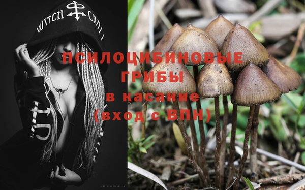 дмт Елизово
