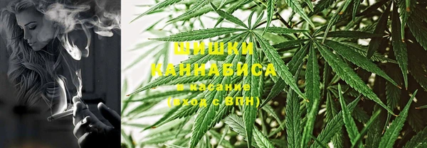 стаф Дмитров