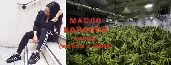 прущие грибы Дмитриев