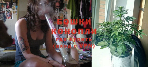 прущие грибы Дмитриев
