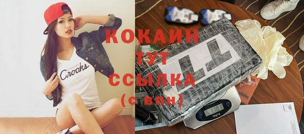 прущие грибы Дмитриев