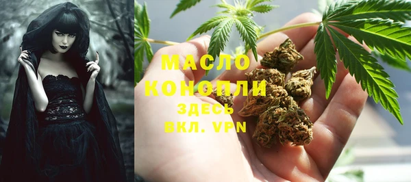 стаф Дмитров