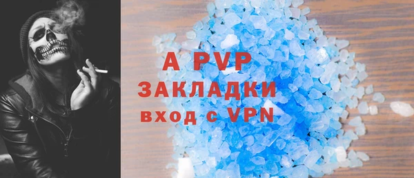 стаф Дмитров