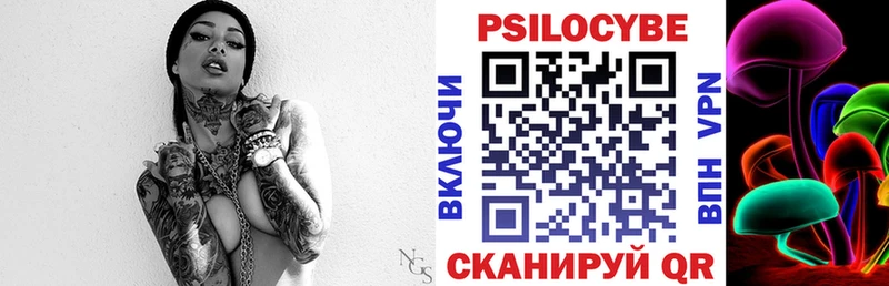 Купить закладки  Курчатов  Галлюциногенные грибы Cubensis 